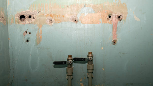 Best Water damage restoration near me  in Union Mill, VA