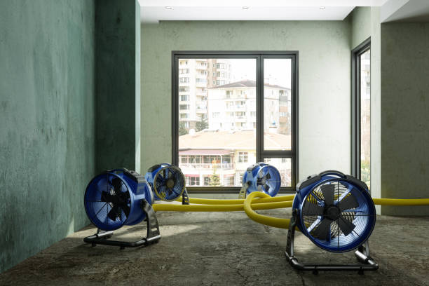 Best Water damage restoration process  in Union Mill, VA